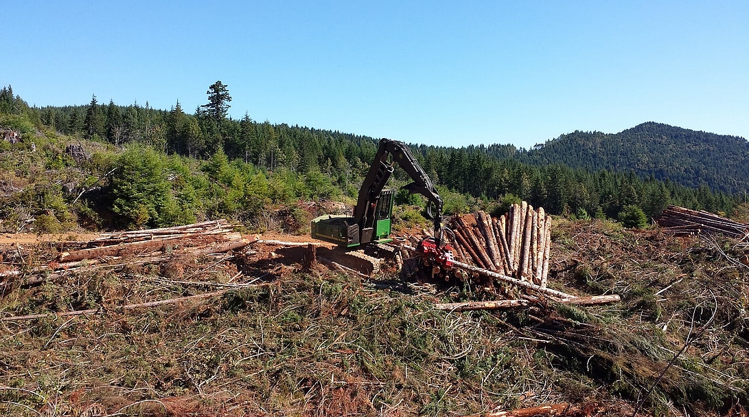 1-1_Sorting and arranging forest residues – Waste to Wisdom